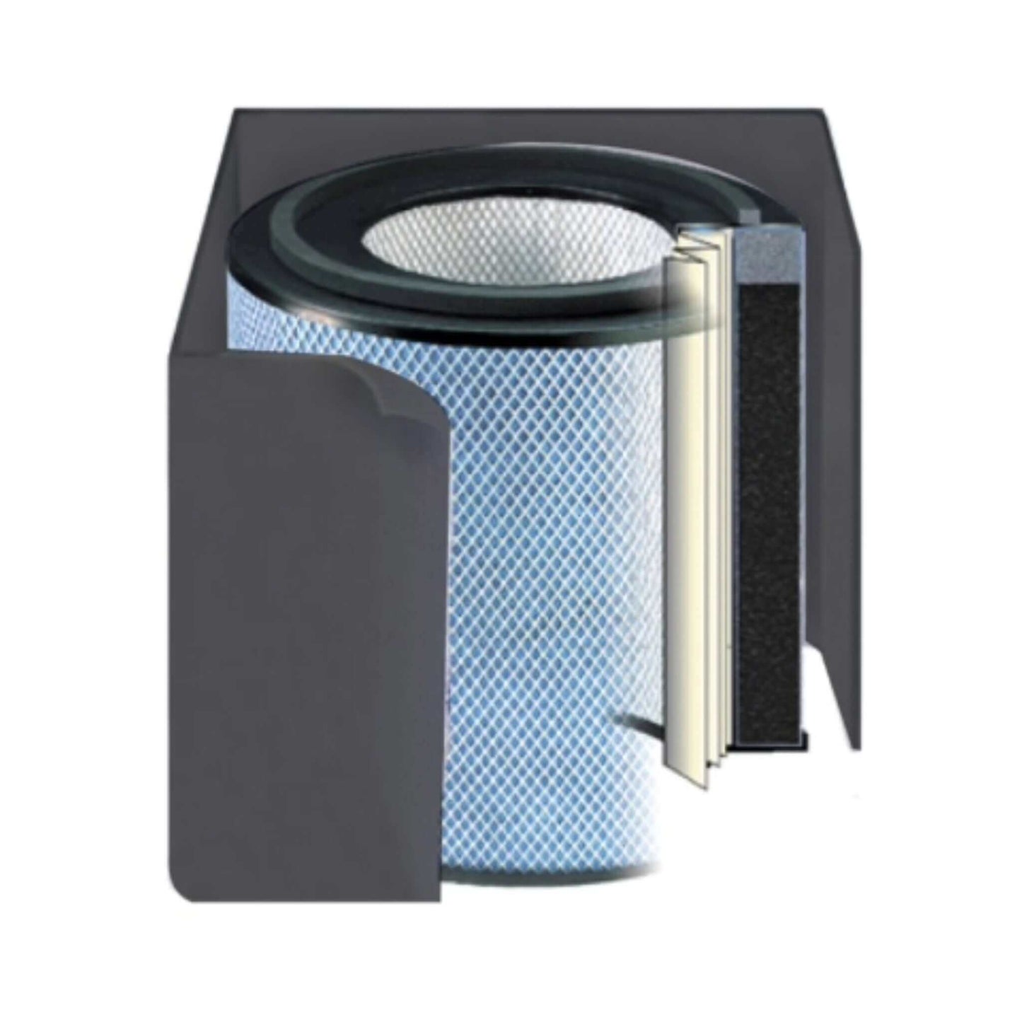 Austin Air Allergy Machine Replacement Filter - Black