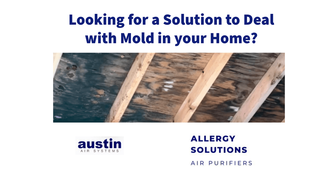 Strategies for Dealing with Mold in Your Home