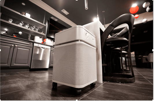 Do You Have a Gas Stove?  Maybe You Need an Austin Air Purifier